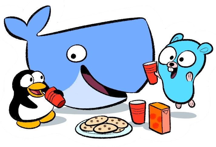 Why did we choose Golang over C? | Mender