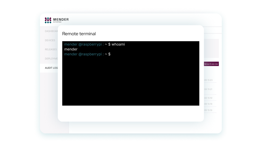 remote-terminal-screen